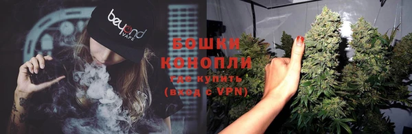 шишки Богородск