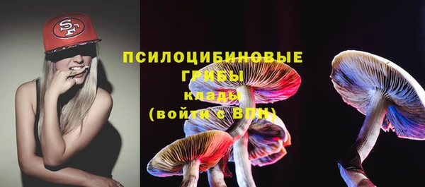 меф Богородицк