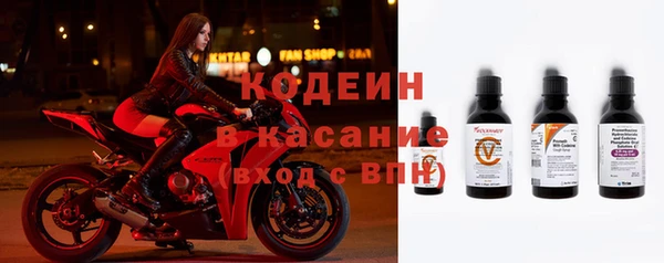 шишки Богородск
