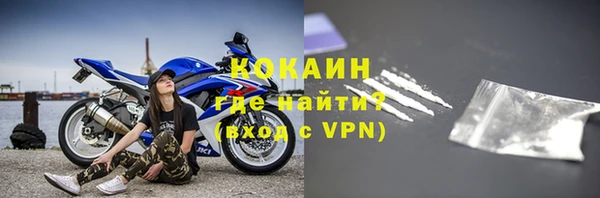 шишки Богородск