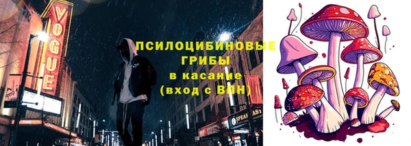 меф Богородицк