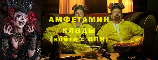 шишки Богородск