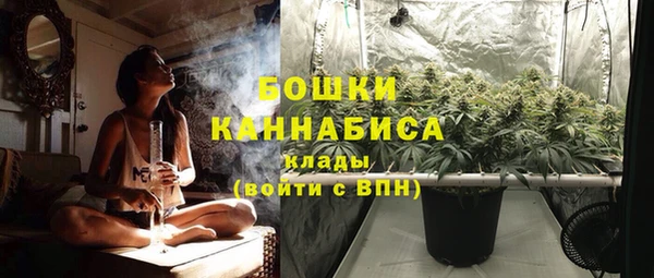шишки Богородск