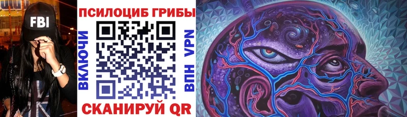 Галлюциногенные грибы Psilocybe  Дигора 